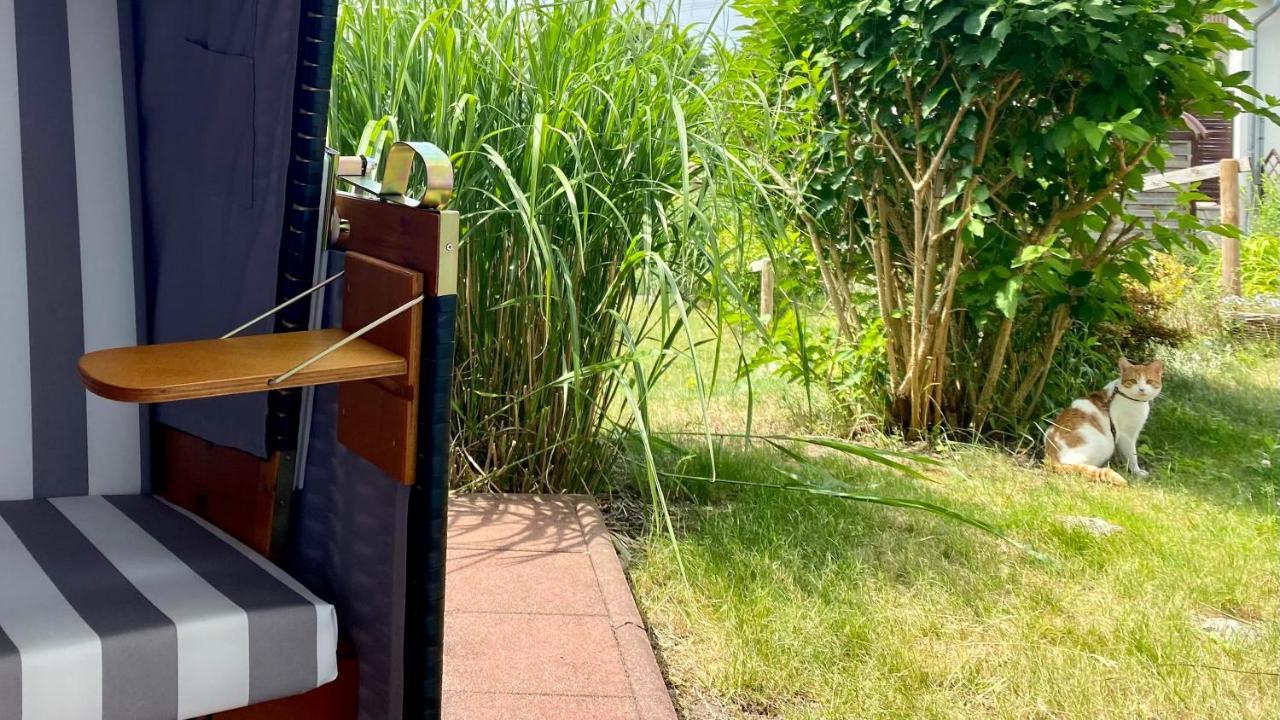 Ferienapartment Casa Heideblick Mit Sonnenterrasse & Garten Radeberg Kültér fotó